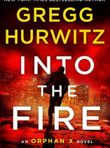 Into the fire book